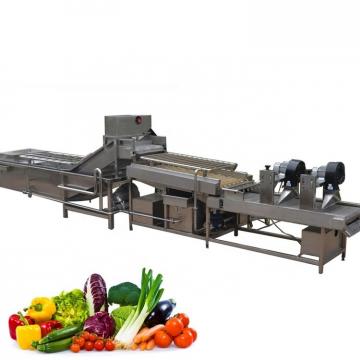 Good Structural Strength Fruit And Vegetable Cleaner Lettuce Washing Machine Safe Operation