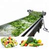 Automatic Multifunctional Stainless Steel 304 Bubble Fruit Vegetable Food Washing Machine