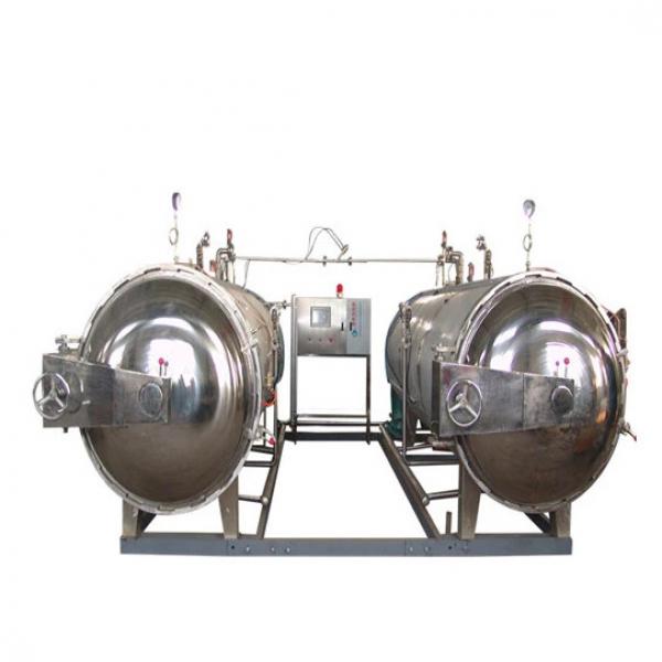 Industrial Food Sterilization Equipment Hot Air Microwave Drying Machine #3 image