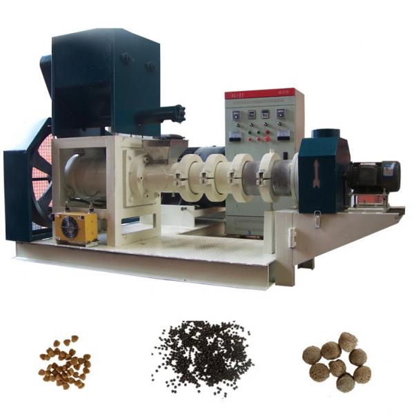 Double Screw Extrusion Wet Dry Pet Food Dog Production Line Floating Fish Feed Snack Food Making Machinery #2 image
