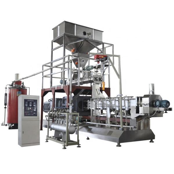 Double Screw Extrusion Wet Dry Pet Food Dog Production Line Floating Fish Feed Snack Food Making Machinery #3 image