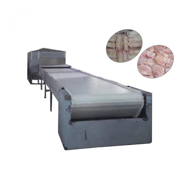 380v Conveyor Belt Meat Thawing Machine For Defrosting Frozen Meat / Aquatic Products #1 image