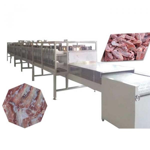 Tunnel Type Microwave Frozen Chicken Meat Thawing Machine #1 image