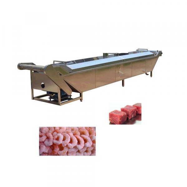 Drum Vegetable Fruit Dates Washer Cleaner Frozen Meat Fish Defrost Thawing Machine #2 image