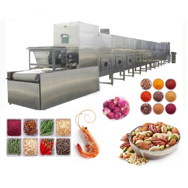 380v Conveyor Belt Meat Thawing Machine For Defrosting Frozen Meat / Aquatic Products #3 image