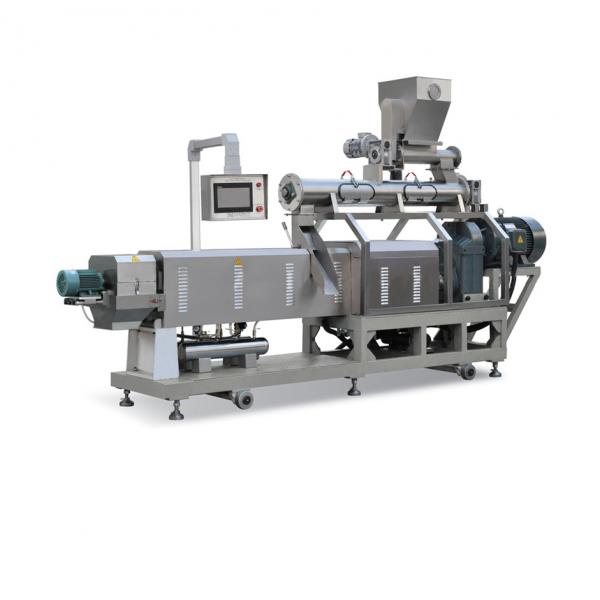 China Large Capacity Twin Screw Extruder Pet Food Processing Floating Fish Feed Pellet Machine #3 image