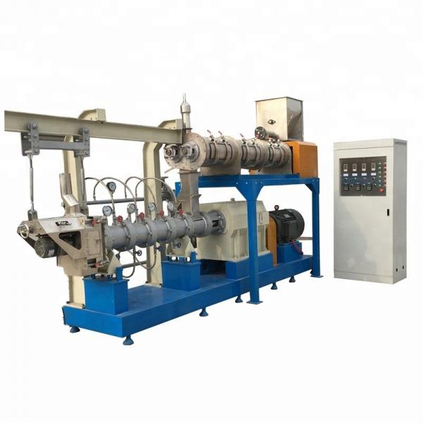 China Large Capacity Twin Screw Extruder Pet Food Processing Floating Fish Feed Pellet Machine #2 image