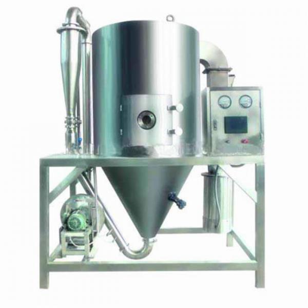Chromic Sulfate Basic Salt Powder Spray Dryer 3L Drier Drying Equipments #2 image
