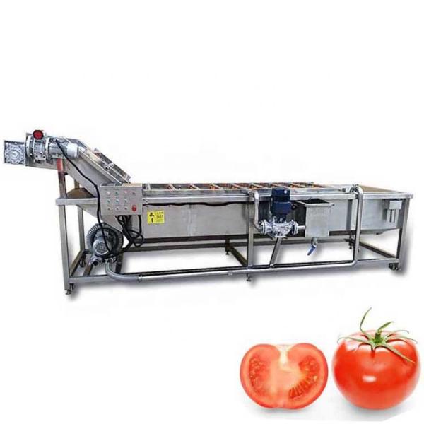 Good Structural Strength Fruit And Vegetable Cleaner Lettuce Washing Machine Safe Operation #3 image