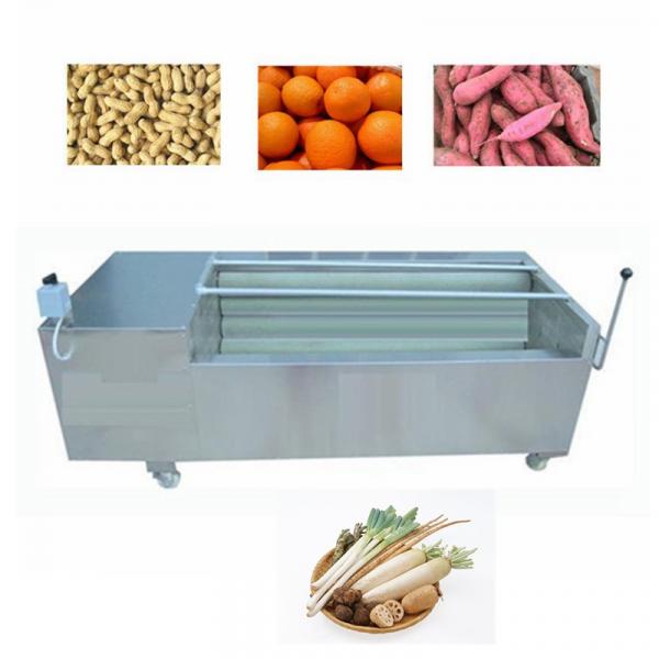 Easy Operation Stainless Steel Fresh Fruit Washer Machine/fresh Vegetables Washing Machine/food Washer #1 image