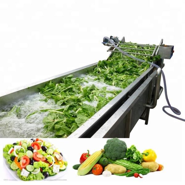 Good Structural Strength Fruit And Vegetable Cleaner Lettuce Washing Machine Safe Operation #1 image