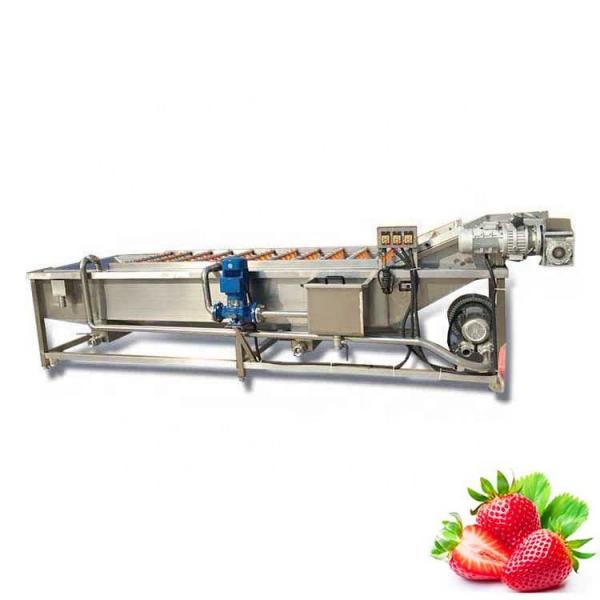 Automatic Multifunctional Stainless Steel 304 Bubble Fruit Vegetable Food Washing Machine #3 image