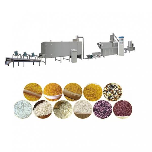 Twin-Screw Extruder Rice Mill Machine Artificial Rice Extruder Machine Couscous Making Machine #2 image