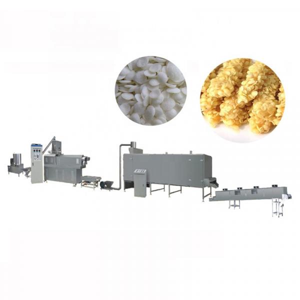 Full Automatic America Wheat Fry China Bread Crumb Food Making Extruder Production Line #2 image