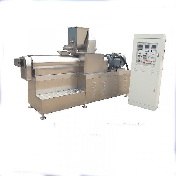 Full Automatic America Wheat Fry China Bread Crumb Food Making Extruder Production Line #3 image