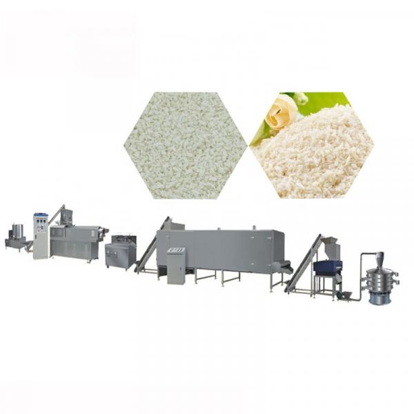 Full Automatic America Wheat Fry China Bread Crumb Food Making Extruder Production Line #1 image