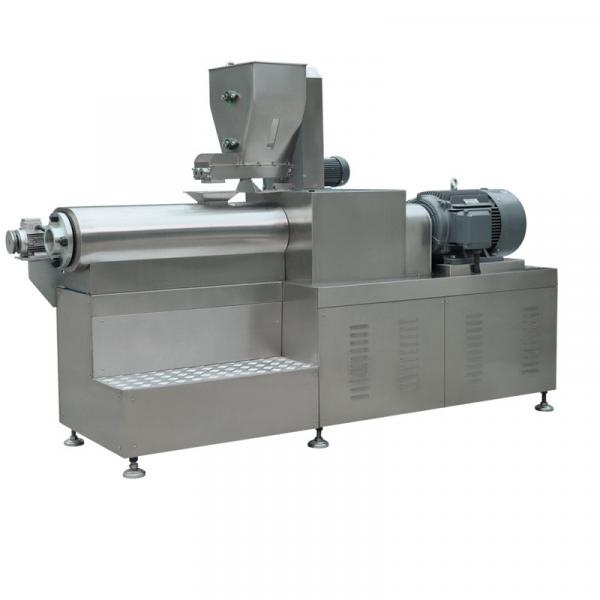 Twin Screw Extruder Puffed Corn Snack Making Machine Snack Food Processing Line #1 image