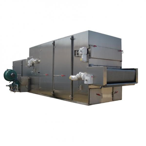 Large Microwave Drying Equipment of Lotus Root Starch #3 image